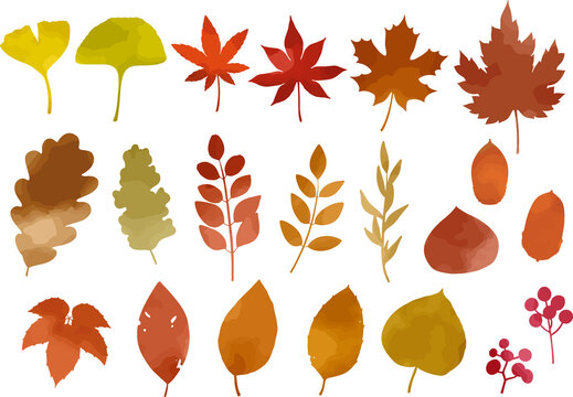 158 116 件の最適な 葉っぱ 紅葉 画像 ストック写真 ベクター Adobe Stock 158 116 件の最適な 葉っぱ 紅葉 画像 ストック写真 ベクター Adobe Stock