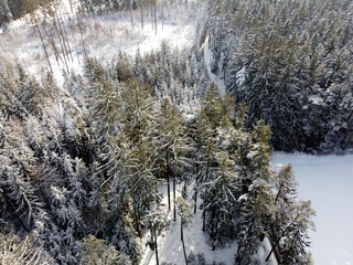 The climate crisis and forest dieback hit the forests in Germany and Bavaria very hard,...