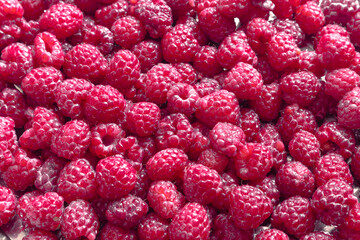 Fresh peeled raspberries. Lots of juicy red raspberries
