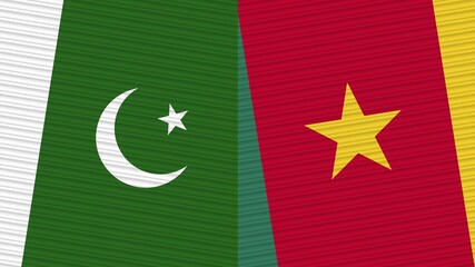 Cameroon and Pakistan Two Half Flags Together Fabric Texture Illustration