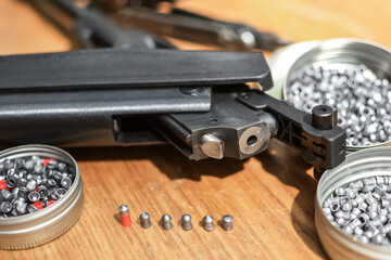 Sports and hobbies. Maintenance and preparation of an air rifle for shooting. Lead bullets of different sizes are selected.