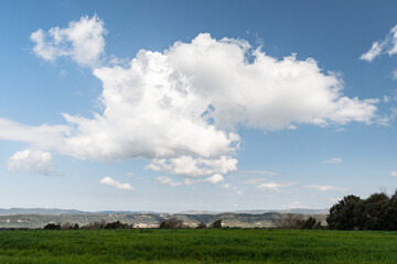 Fototapeta na wymiar Paisaje horizonte con nubes