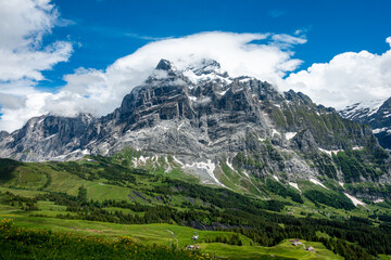 Naklejka premium Aussicht in Grindelwald