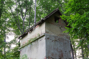 Ruine im Wald