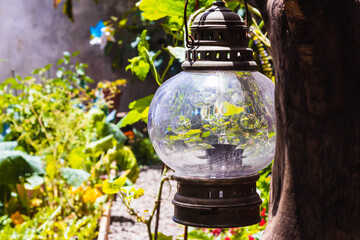 lantern in the garden