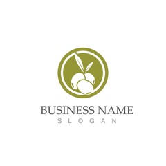 olive icon vector illustration