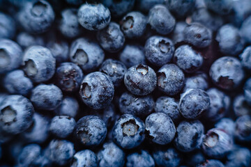 blueberries on a plate