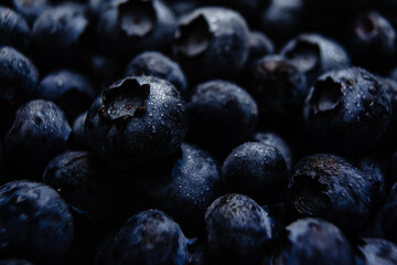 blueberries close up