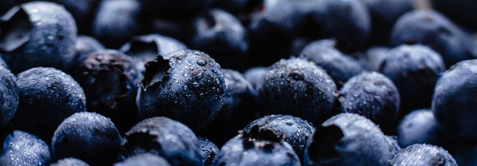 blueberries close up