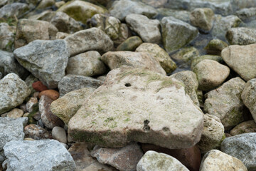 Fototapeta na wymiar rocks with dried algae near a lake