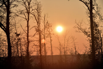 Naklejka premium misty sunrise over the forest and fields 
