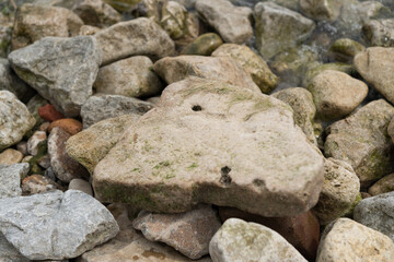 dried algae covered stones