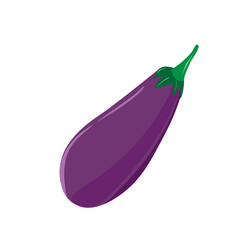 Eggplant isolated on white. Aubergine. Vector illustration. Vegetarian food
