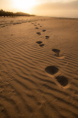 Atardecer en la playa
