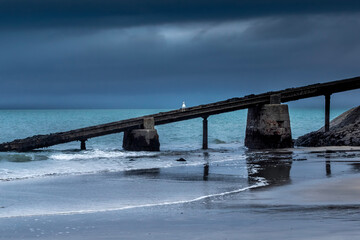 Seagull bridge over the sea