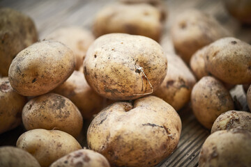 Fototapeta premium Freshly picked, home-grown fresh potatoes on rustic wooden background