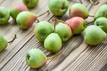 Naklejka na ściany i meble Fresh picked farm pears from the orchard on rustic wooden background