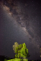 stars in the night sky