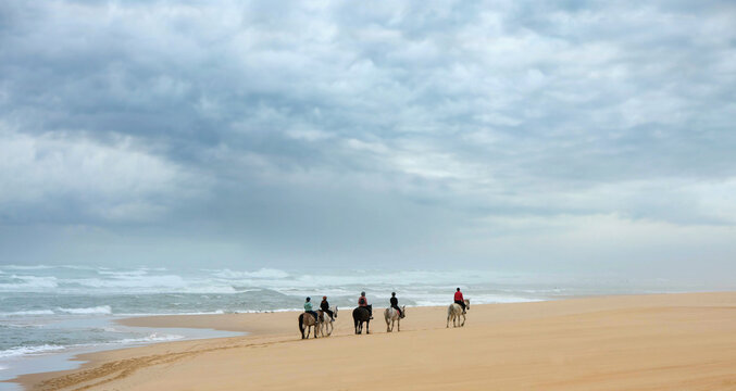group of horse riders riding horses on the beach