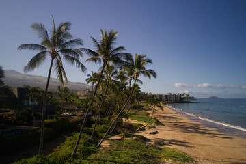 A high definition aerial view of a beach on the island of Maui in the Hawaiian islands.