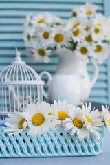 Bouquet of daisies in a white ceramic jug.