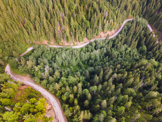 Aerial view of a curvy road and the green woods of high mountains. 