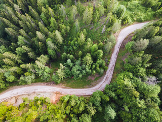 Bird's eye view of road running through beautiful green pine woods