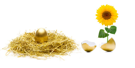 Goldenes Ei und Sonnenblume