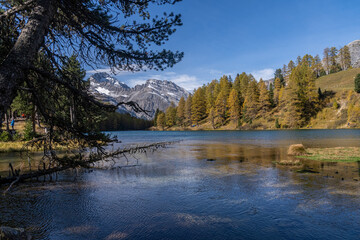 Herbst am Palpuognasee
