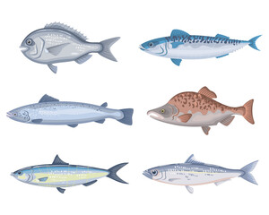 Set of different cartoon fish on a white background.