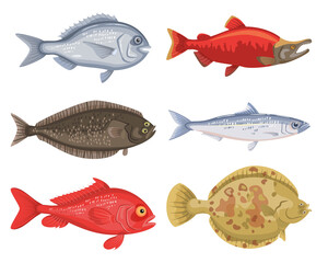 Set of different cartoon fish on white background.