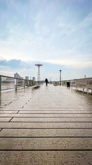 Fototapeta premium pier on the beach