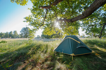 a tourist tent stands under a huge oak tree with the sunbeams shining through the leaves . travel wild in nature