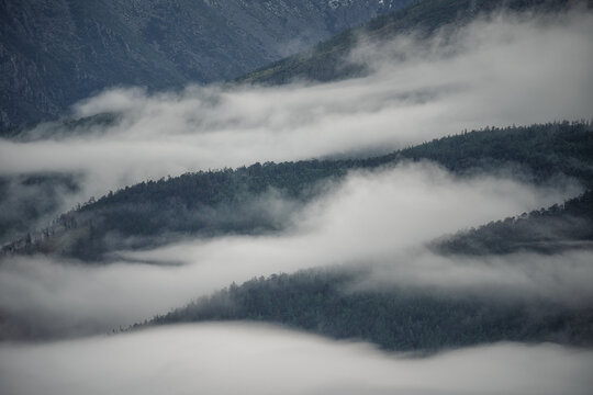 Fog covering the mountain forests. © filin174