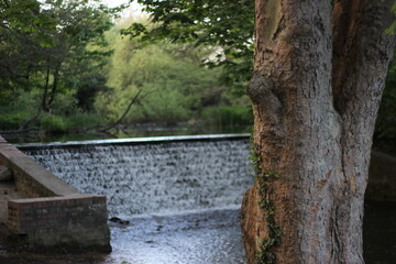 A waterfall in the woods