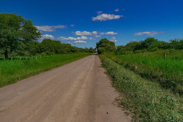Fototapeta na wymiar camino de tierra del Chaco Argentino