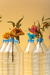 Dried flowers in plastic bottles as a symbol of a dying ecosystem from plastic jars. The environmental situation in the world.