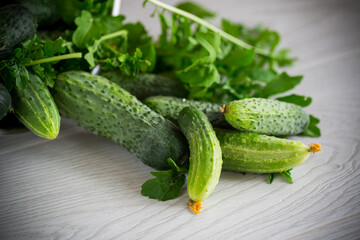 organic cucumbers with herbs on a wooden table