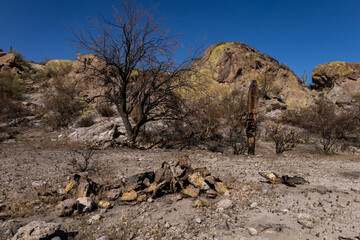 Dry river bed desert landscape post wild fire