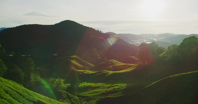 A breathtaking Sunrise view of the Cameron Highlands.