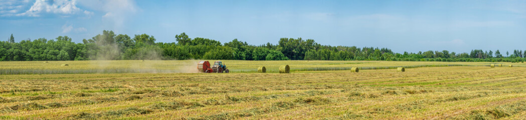 On the rye field, the tractor is harvesting in fresh grass hay.