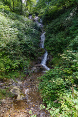 vertical photo of one of a small waterfall among abundant very green vegetation. You can see the stream of white water going down between the stones and the abundant green vegetation, abaju a small ha