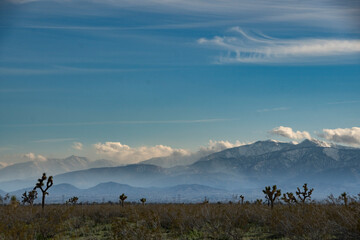 Obraz na płótnie Canvas El Mirage Joshua Tree Sunset, California Mountains Snow & Desert 