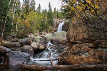 waterfall in the forest