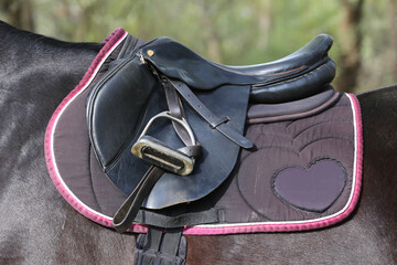 On the back of the horse, a brown leather saddle