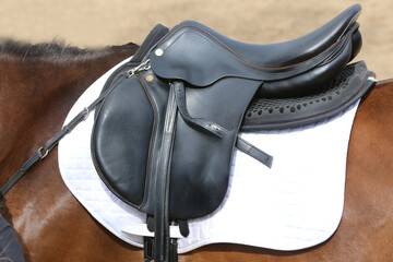 On the back of the horse, a brown leather saddle
