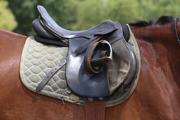 On the back of the horse, a brown leather saddle