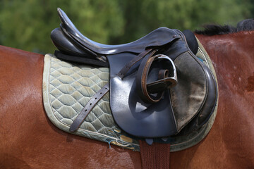 On the back of the horse, a brown leather saddle