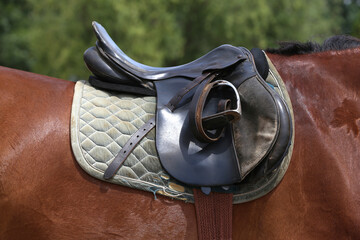 On the back of the horse, a brown leather saddle