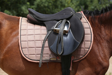 On the back of the horse, a brown leather saddle